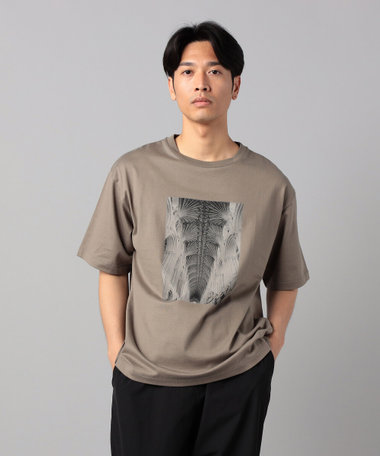 リブ・ヴォールト プリントTシャツ