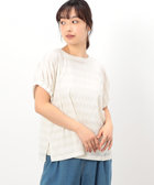 シアーボーダー ドルマンスリーブTシャツ