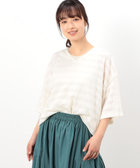 シアーボーダー VネックTシャツ