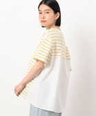ボーダー バックフレアTシャツ