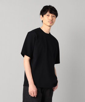 アルビニ