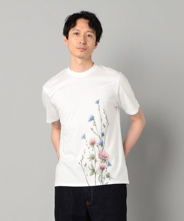 ヤグルマギクプリント  Tシャツ