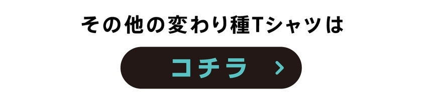 コムサイズムコムサコミューン変わり種Tシャツ