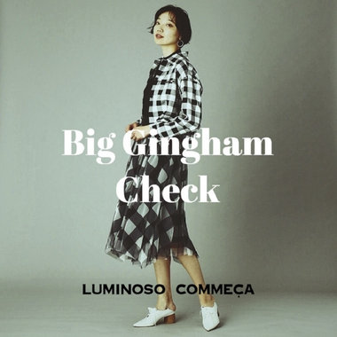 Big Gingham Check